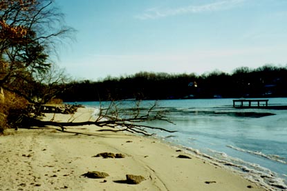 the beach