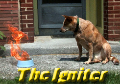 F.M. Turner presents The Igniter