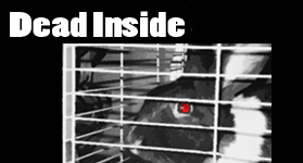 Dead Inside