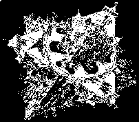 [Escher Picture]