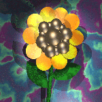 [joel's sunflower]