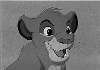 {Simba B&W]