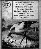 [Tarot Card]